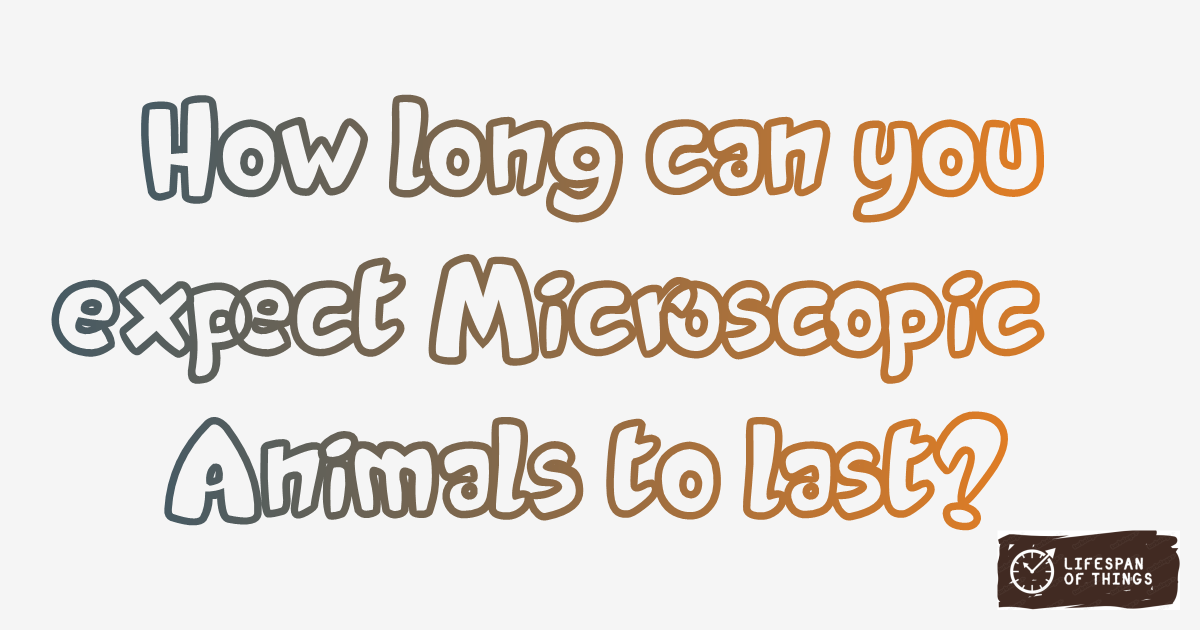 Lifespan of Microscopic Animals