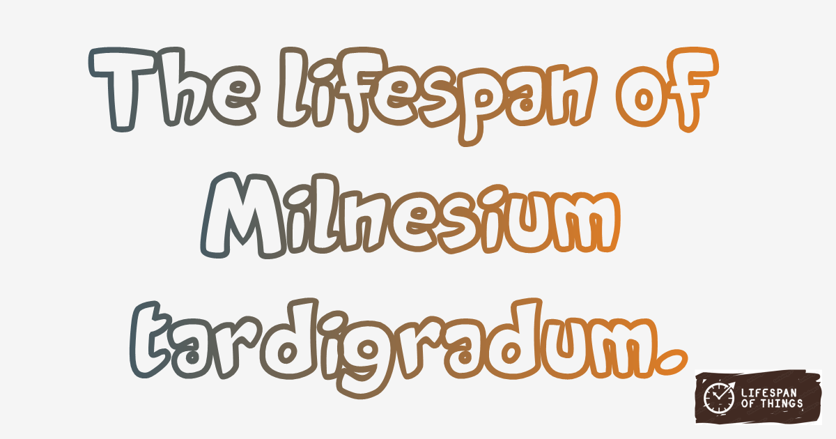 Lifespan of Milnesium tardigradum
