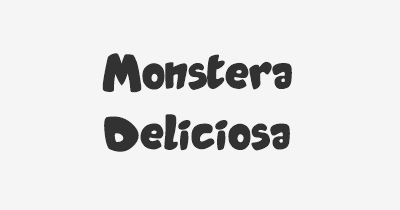 Thumbnail for lifespan of Monstera Deliciosa