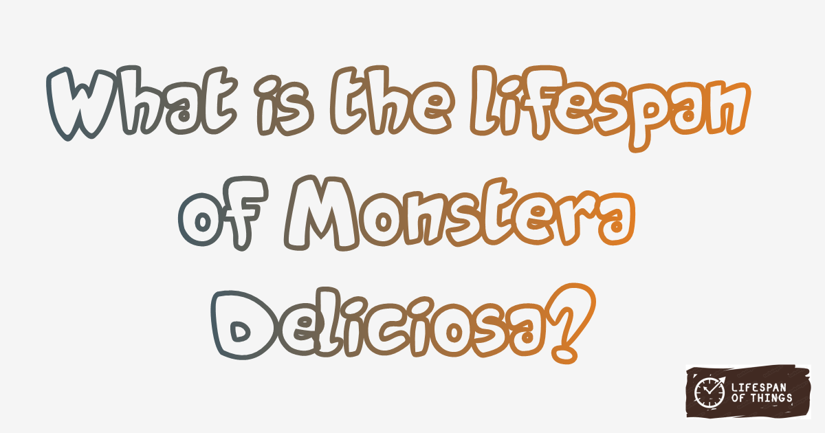 Lifespan of Monstera Deliciosa