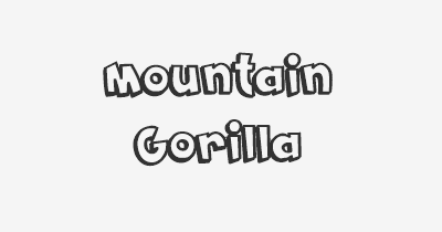 Thumbnail for lifespan of Mountain Gorilla