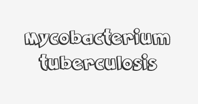 Thumbnail for lifespan of Mycobacterium tuberculosis