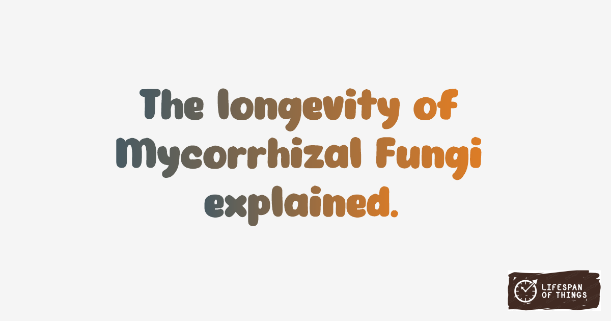 Lifespan of Mycorrhizal Fungi