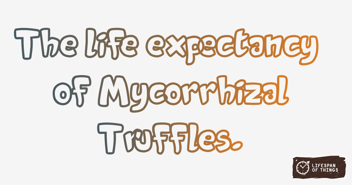 Lifespan of Mycorrhizal Truffles