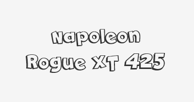 Thumbnail for lifespan of Napoleon Rogue XT 425