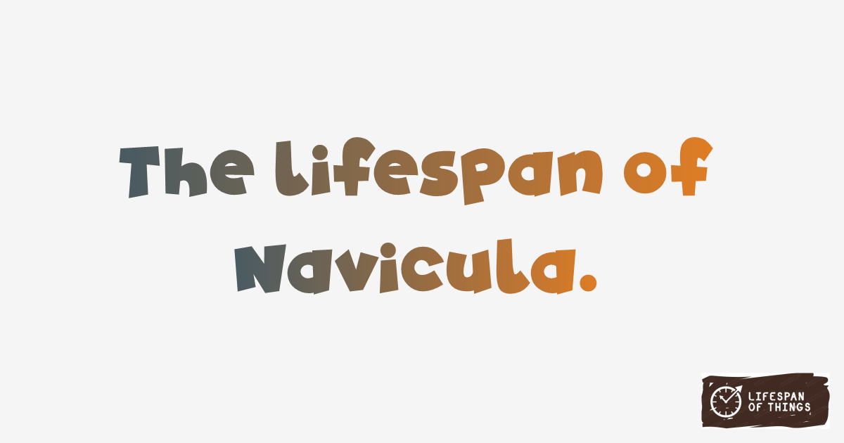 Lifespan of Navicula