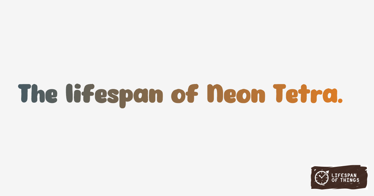 Lifespan of Neon Tetra