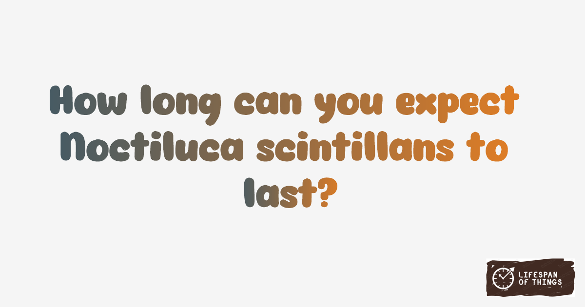 Lifespan of Noctiluca scintillans