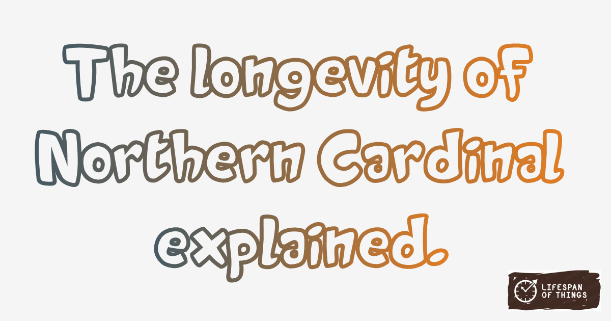 Lifespan of Northern Cardinal