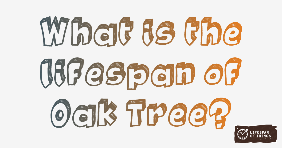 Lifespan of Oak Tree