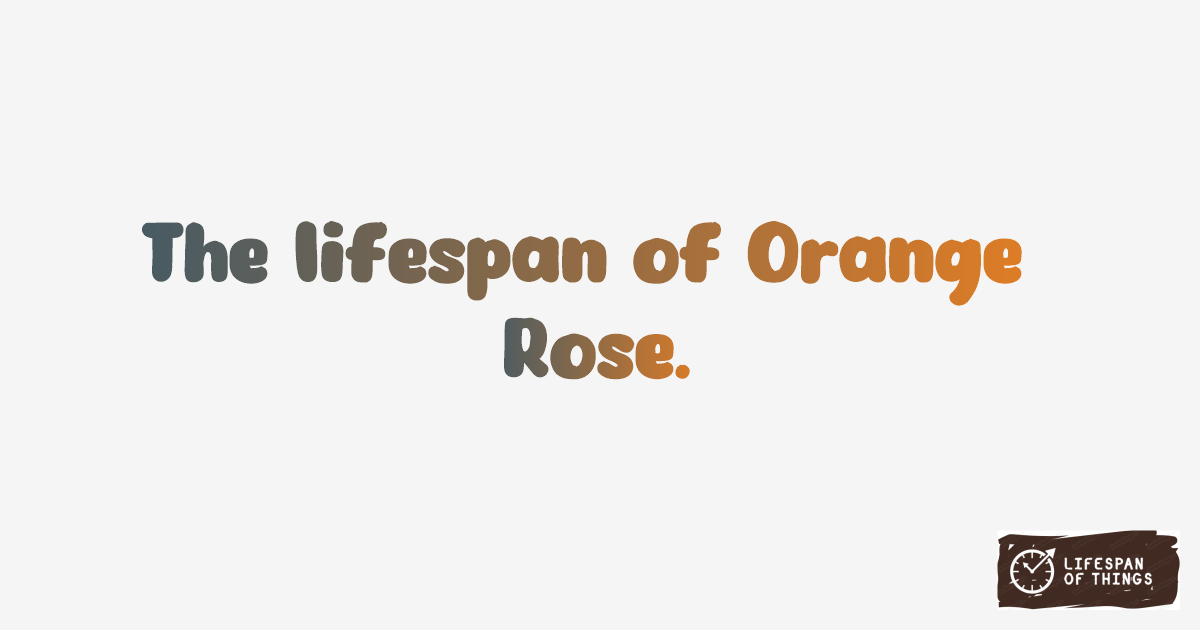 Lifespan of Orange Rose