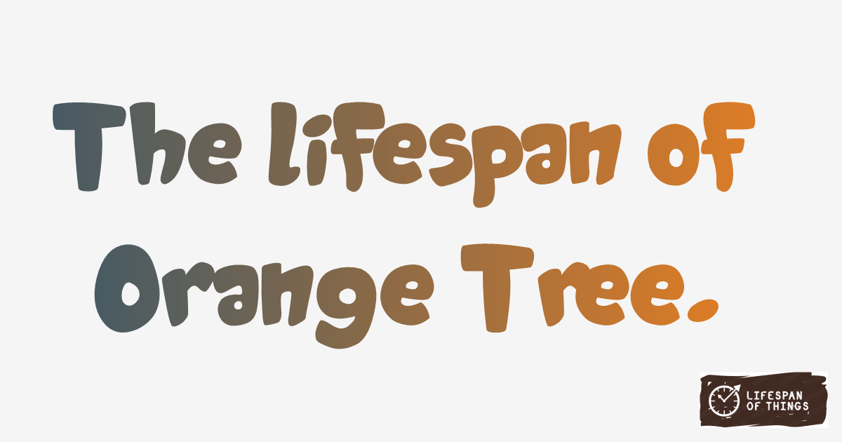 Lifespan of Orange Tree