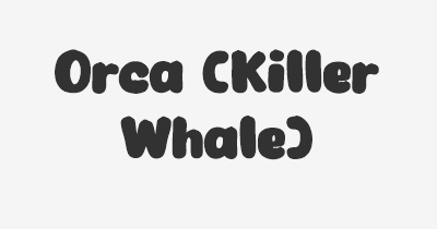 Thumbnail for lifespan of Orca (Killer Whale)