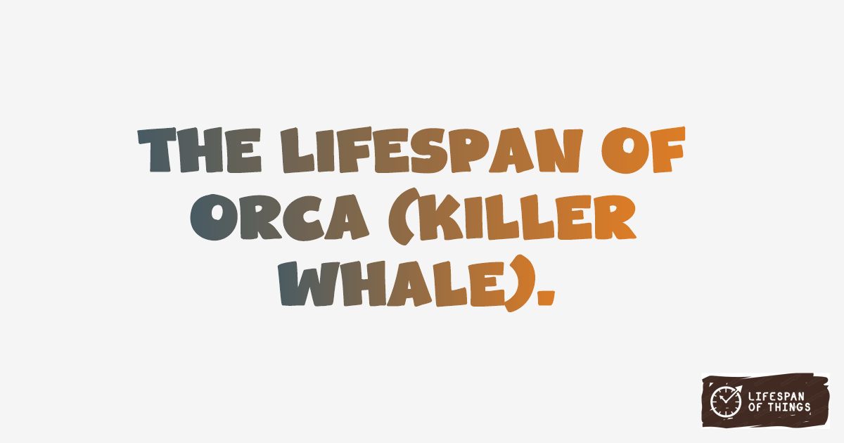 Lifespan of Orca (Killer Whale)