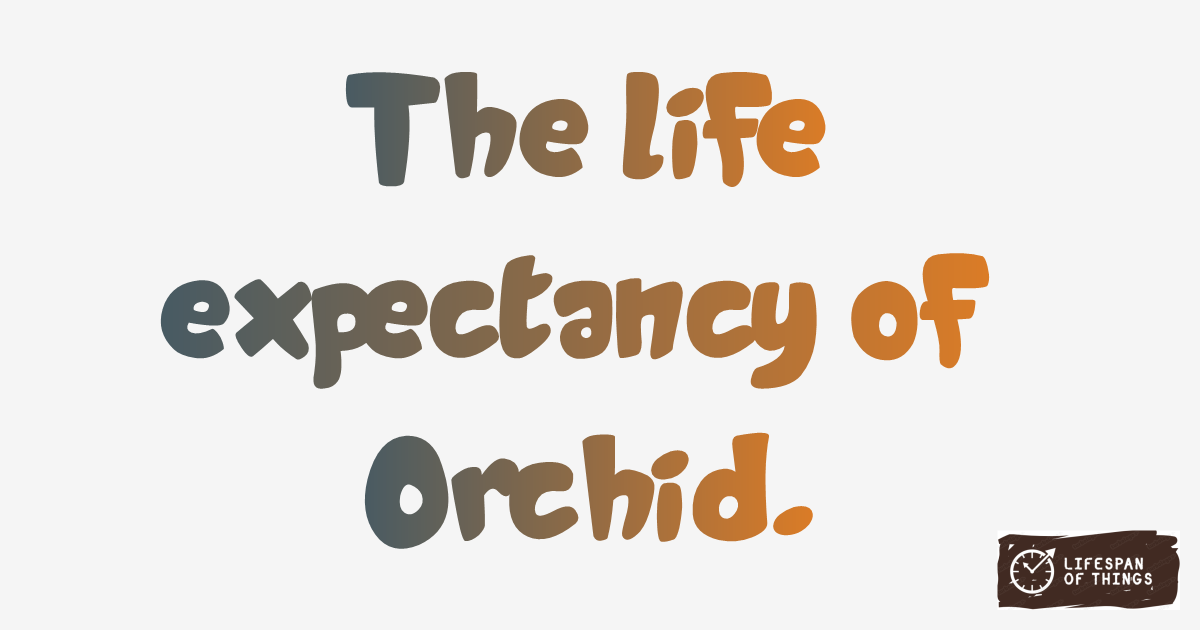 Lifespan of Orchid