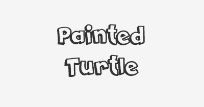 Thumbnail for lifespan of Painted Turtle