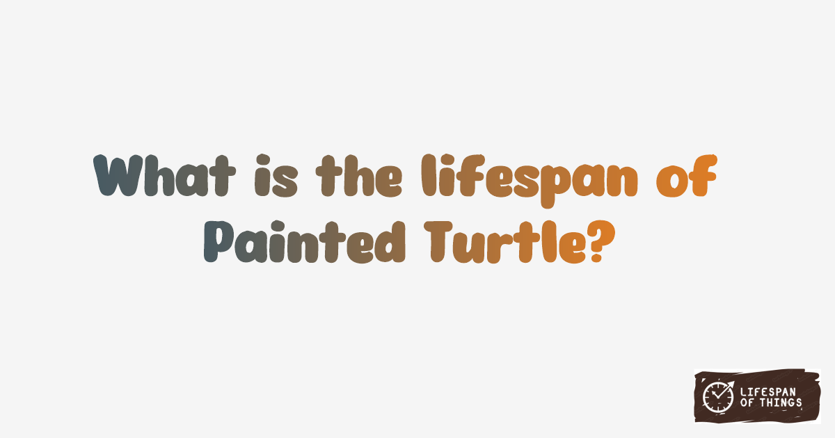 Lifespan of Painted Turtle
