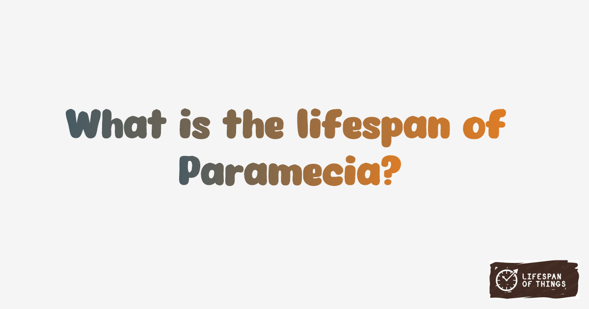 Lifespan of Paramecia