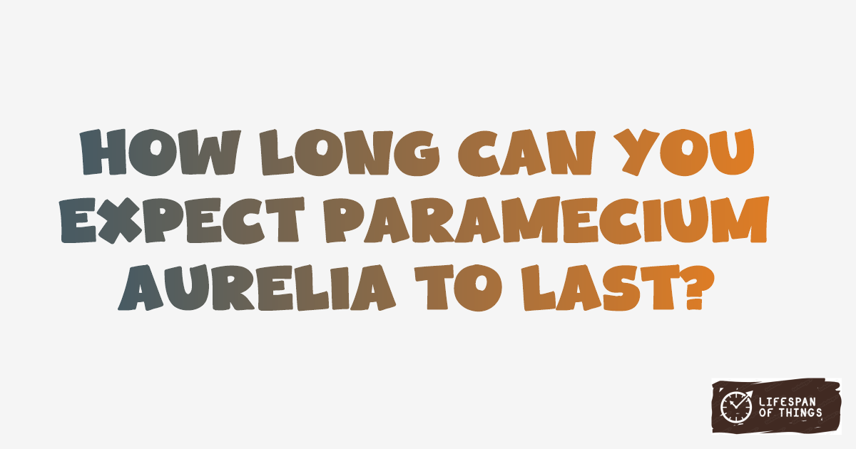 Lifespan of Paramecium aurelia