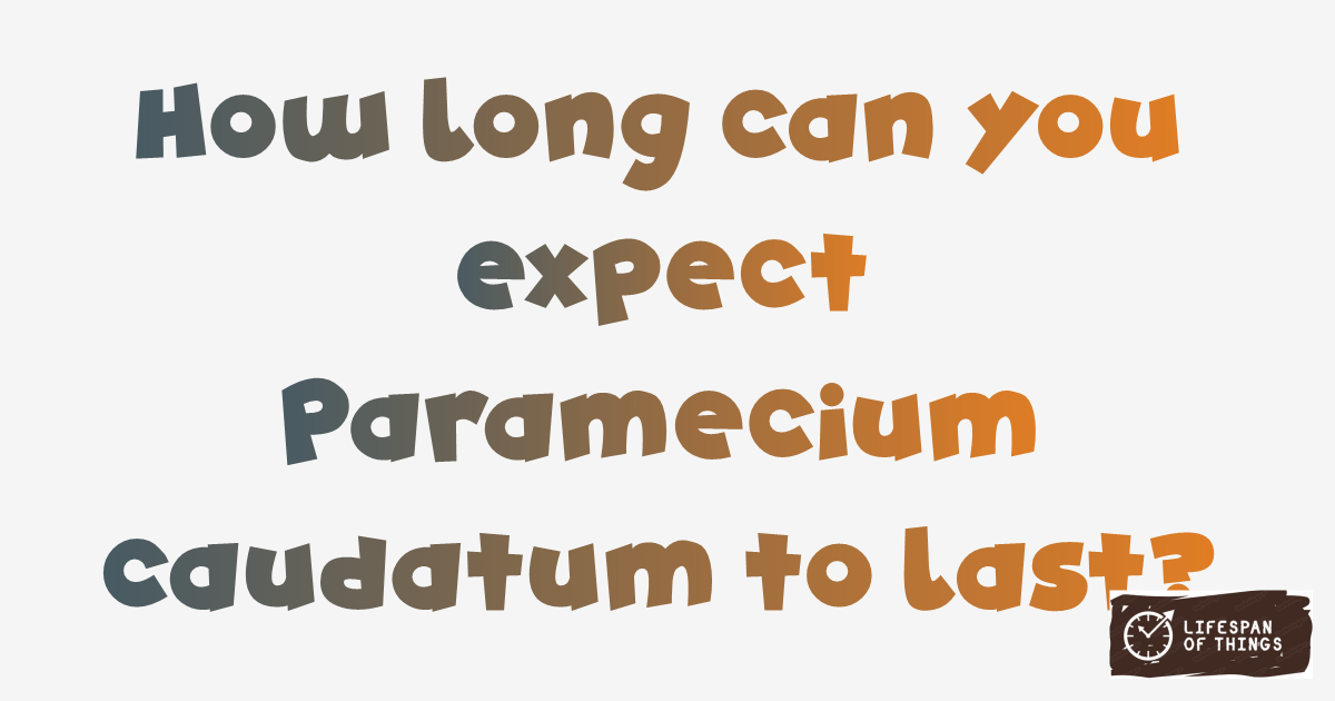 Lifespan of Paramecium caudatum