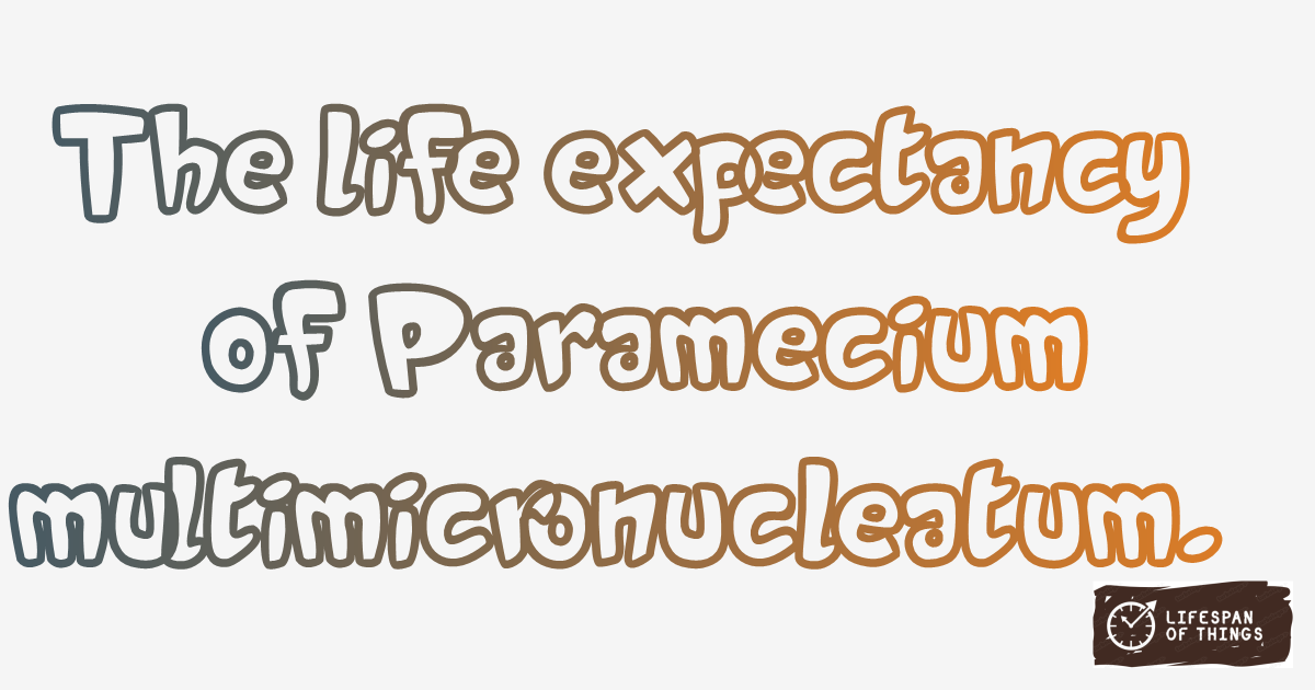 Lifespan of Paramecium multimicronucleatum