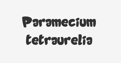 Thumbnail for lifespan of Paramecium tetraurelia
