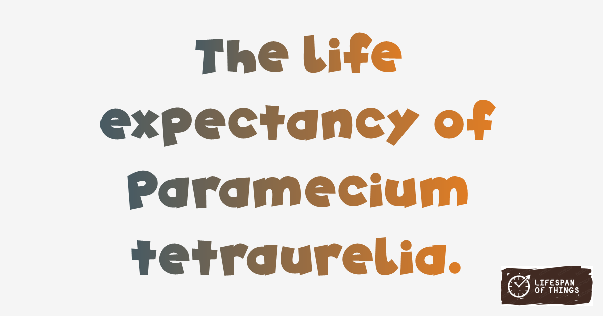 Lifespan of Paramecium tetraurelia