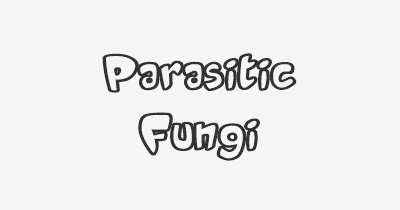 Thumbnail for lifespan of Parasitic Fungi