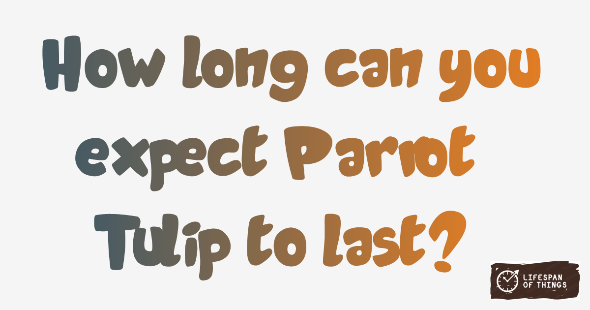 Lifespan of Parrot Tulip