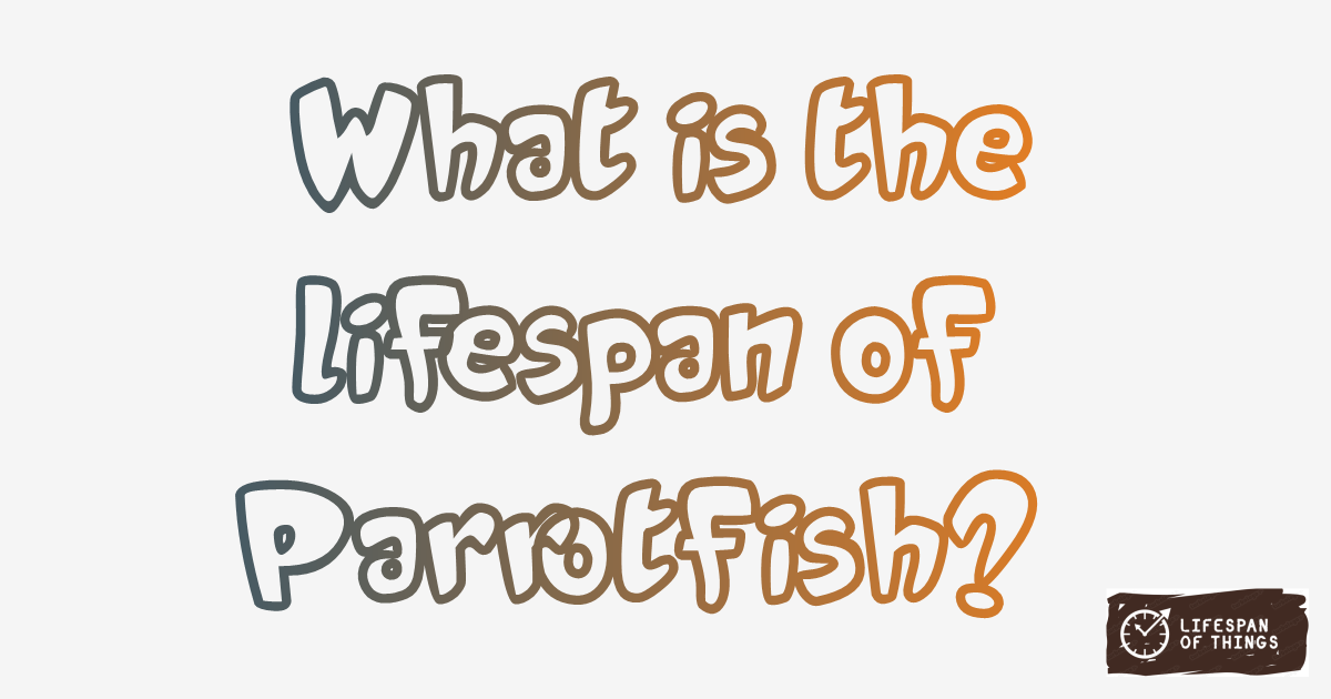 Lifespan of Parrotfish