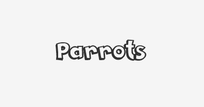 Thumbnail for lifespan of Parrots