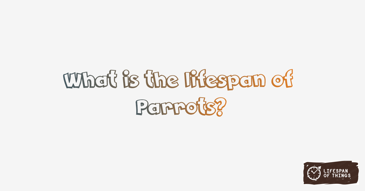 Lifespan of Parrots