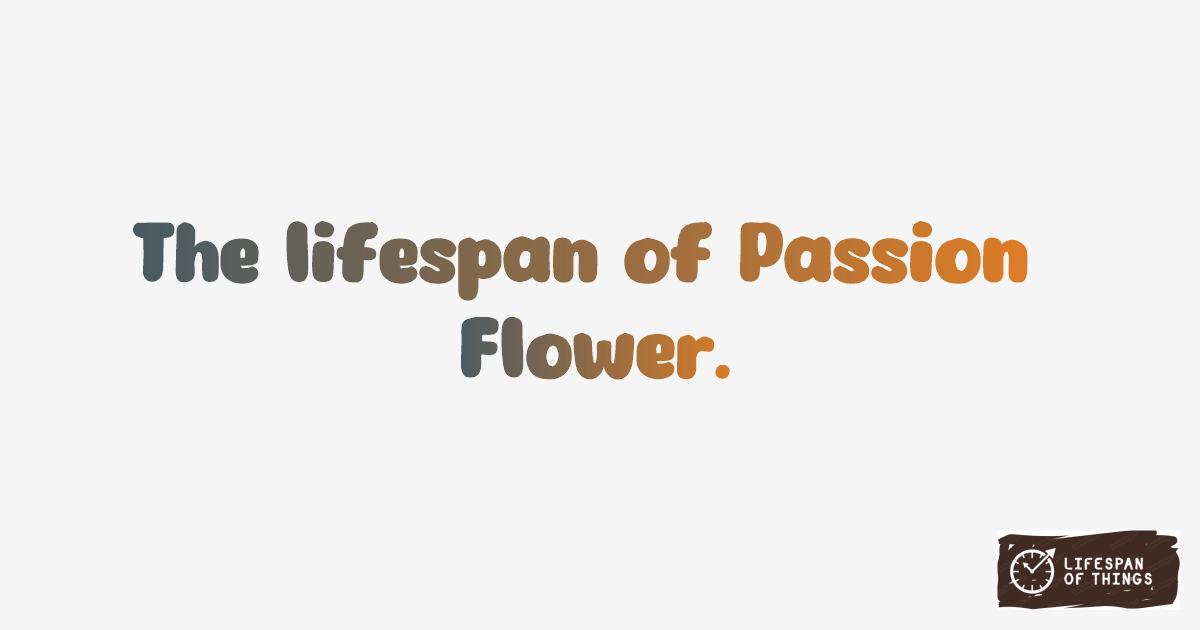 Lifespan of Passion Flower