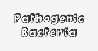 Thumbnail for lifespan of Pathogenic Bacteria