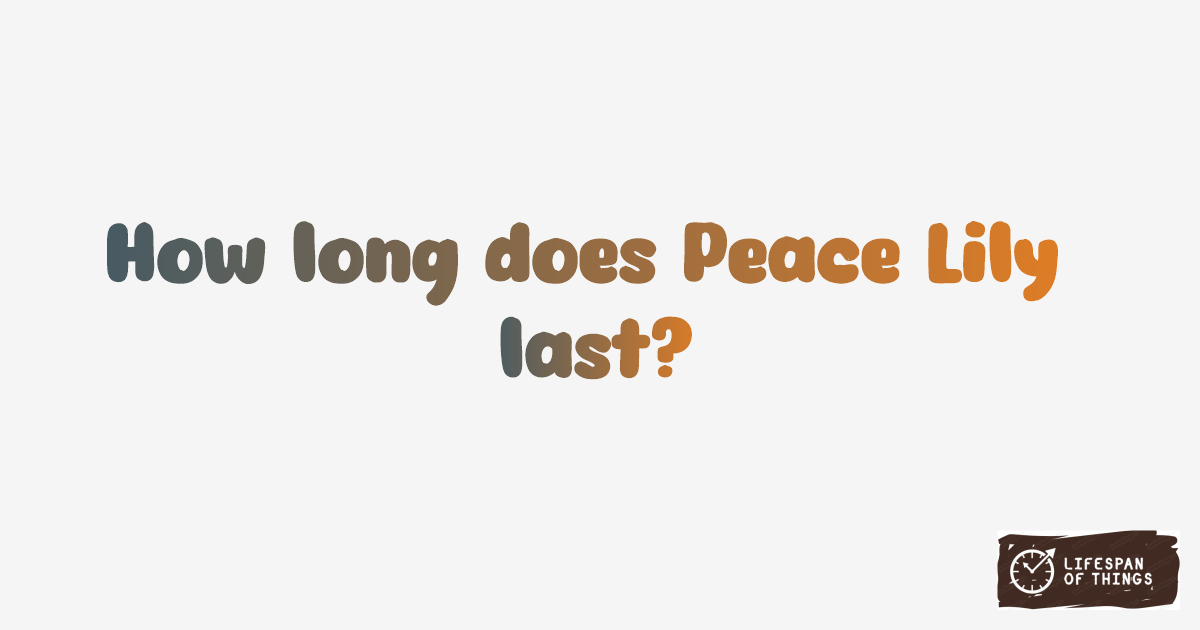 Lifespan of Peace Lily