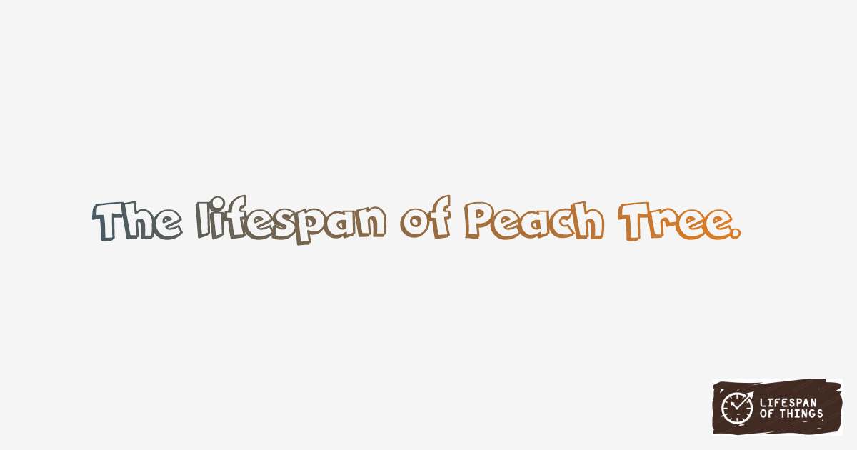 Lifespan of Peach Tree