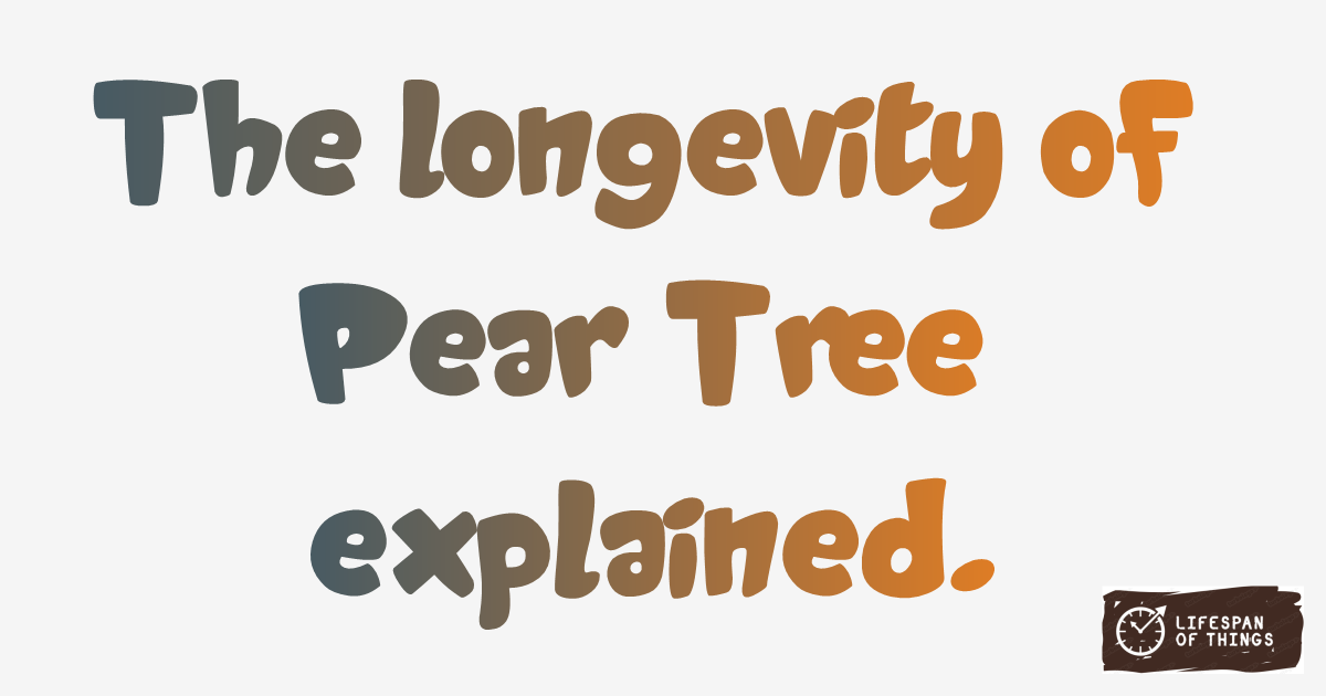 Lifespan of Pear Tree