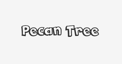 Thumbnail for lifespan of Pecan Tree