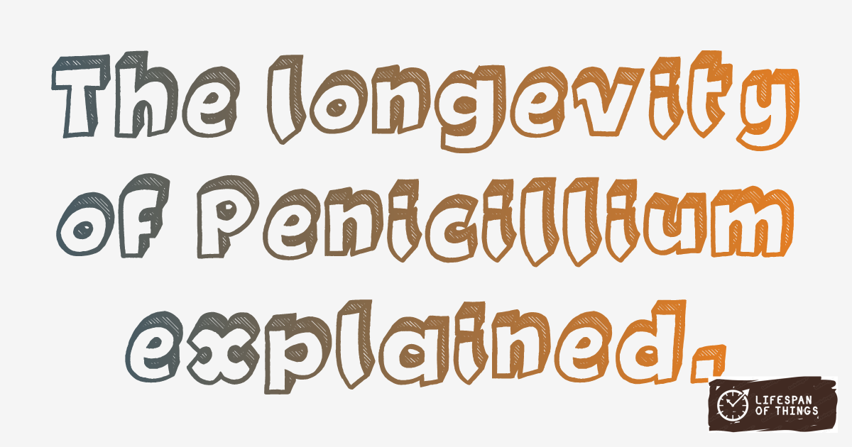 Lifespan of Penicillium