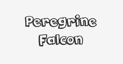Thumbnail for lifespan of Peregrine Falcon