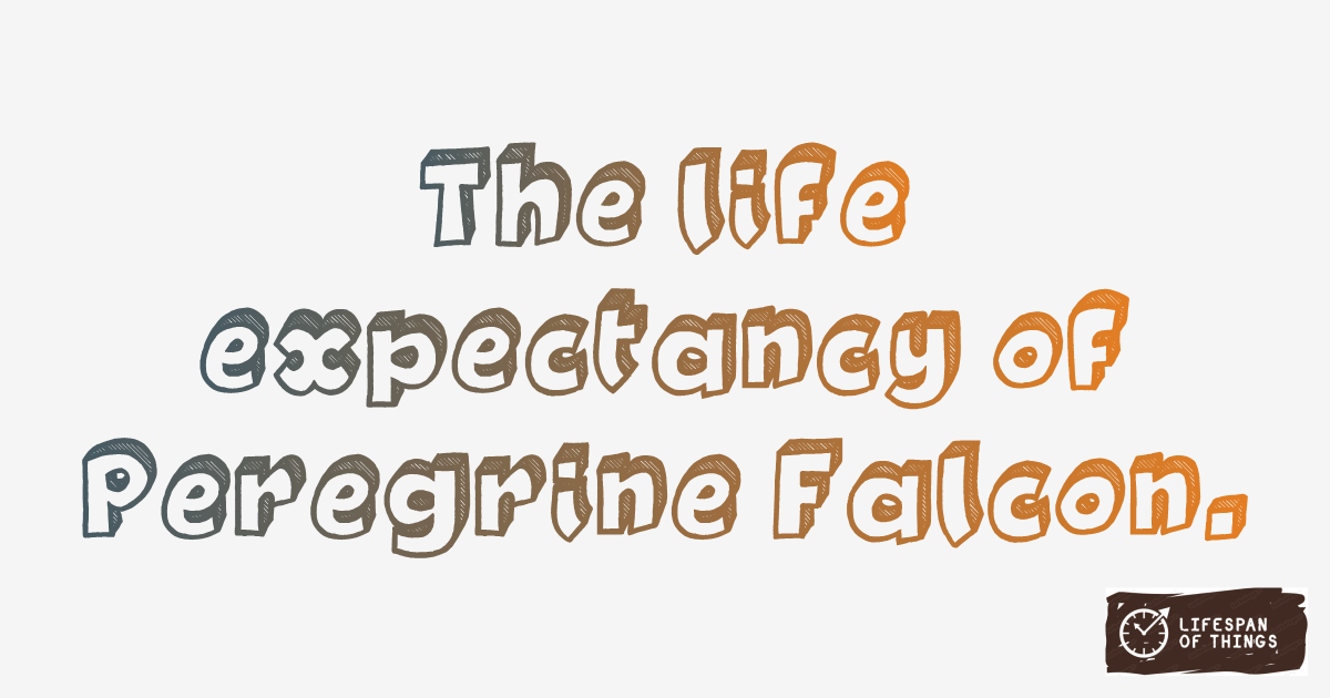 Lifespan of Peregrine Falcon