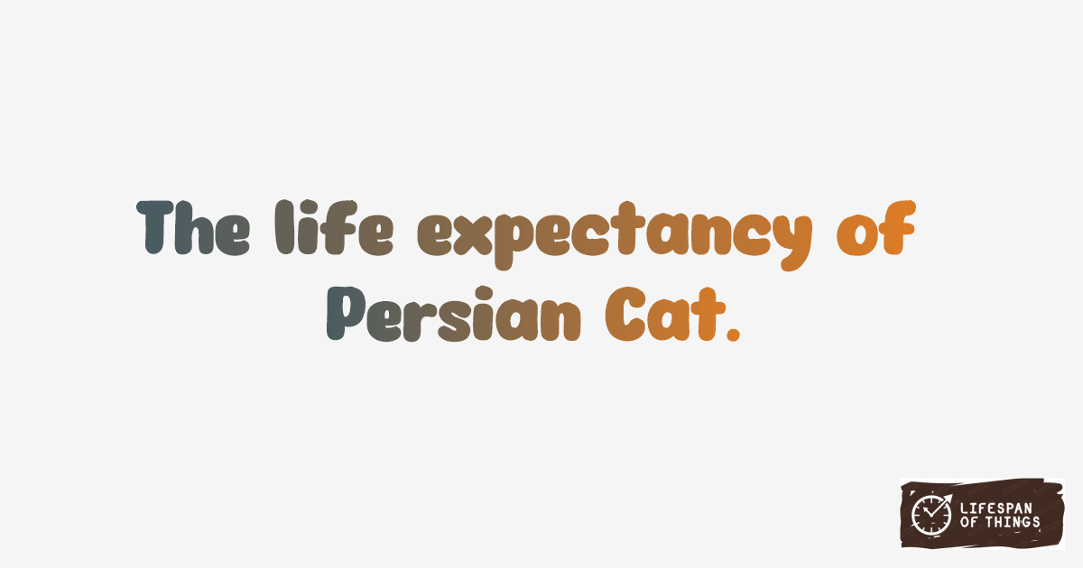 Lifespan of Persian Cat
