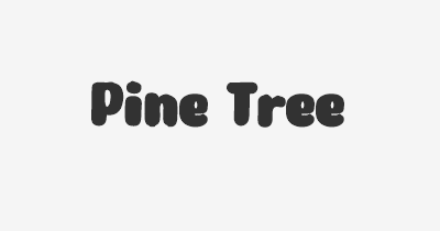 Thumbnail for lifespan of Pine Tree