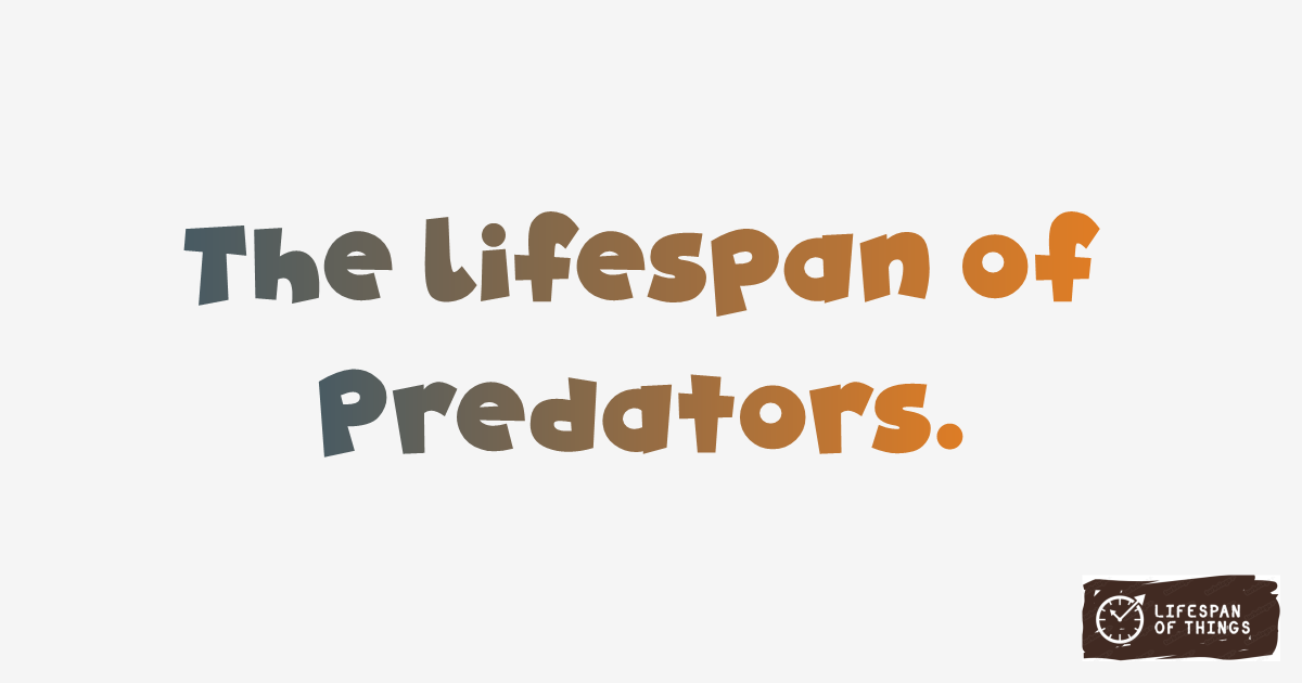 Lifespan of Predators