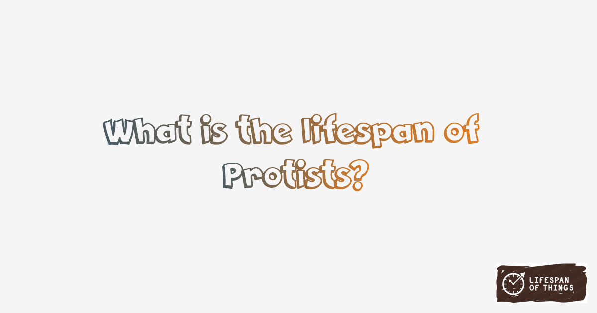 Lifespan of Protists