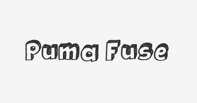 Thumbnail for lifespan of Puma Fuse
