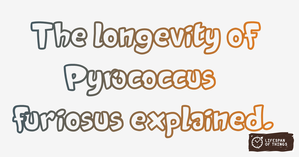 Lifespan of Pyrococcus furiosus