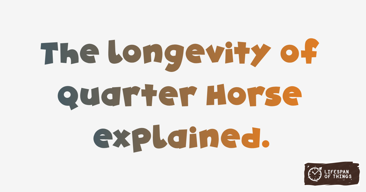 Lifespan of Quarter Horse