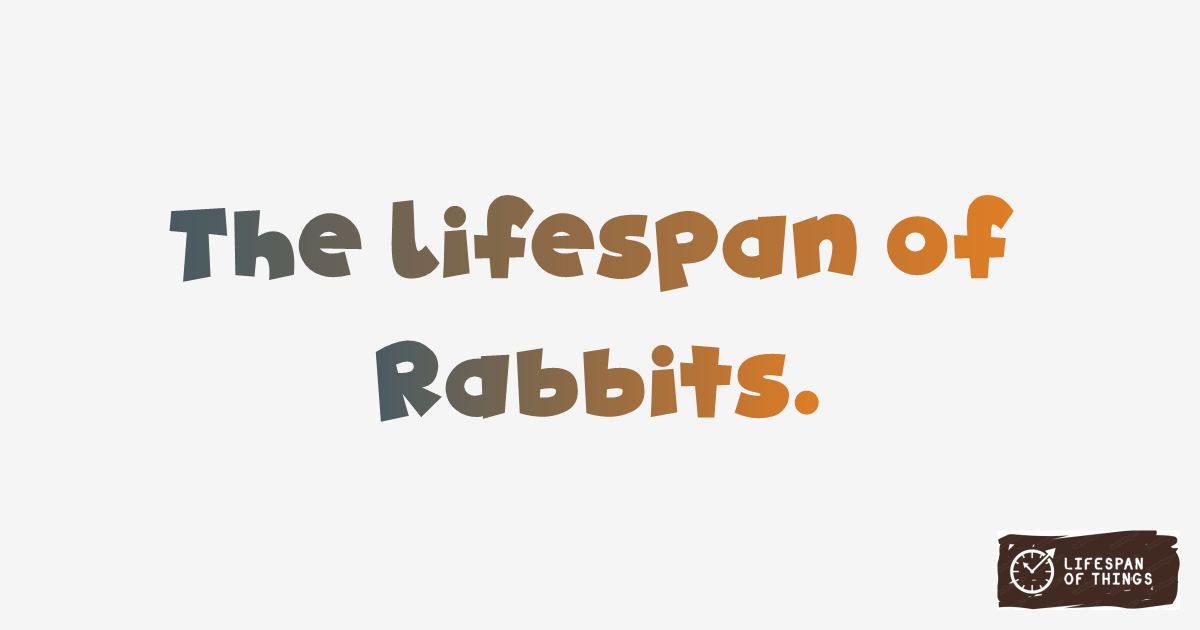 Lifespan of Rabbits
