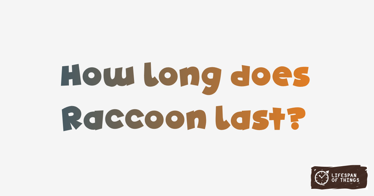 Lifespan of Raccoon